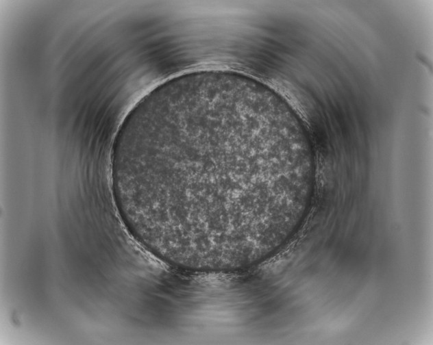 X0000094790950200712071225