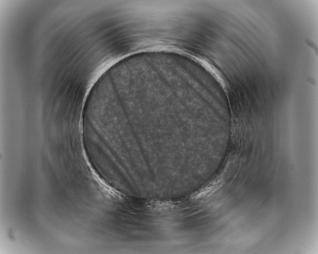 X0000094790951200712071225