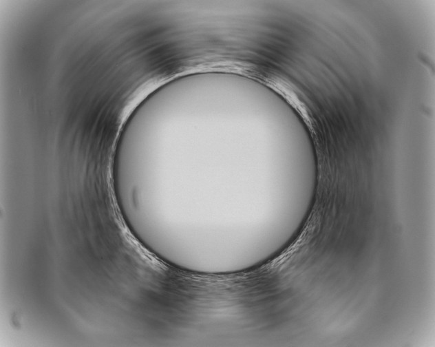 X0000094790952200712071225