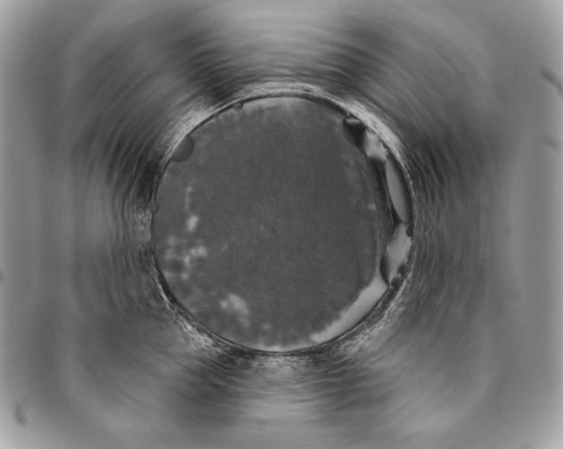 X0000094790953200712071225