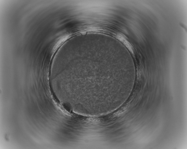 X0000094790954200712071225