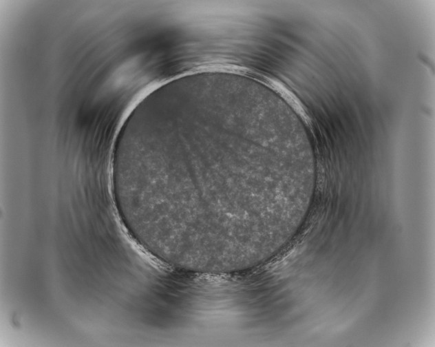 X0000094790955200712071225