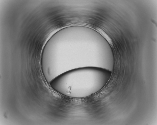 X0000094790956200712071225