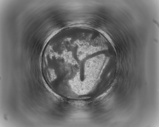 X0000094790957200712071225