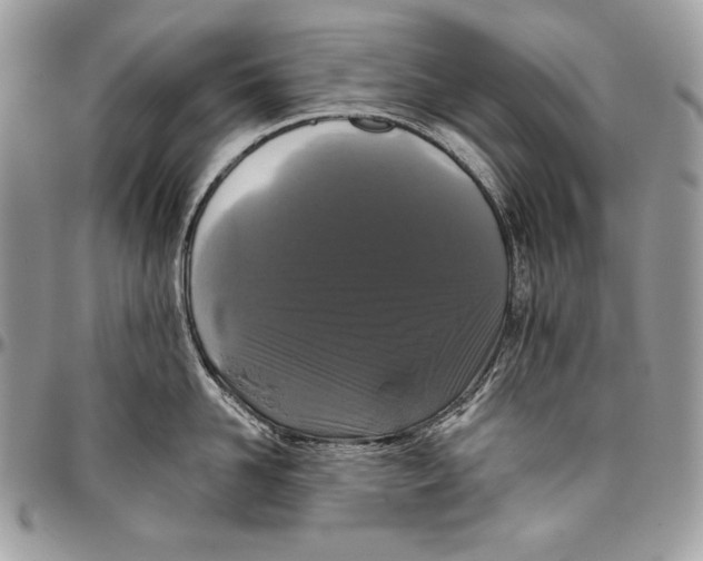 X0000094790958200712071225