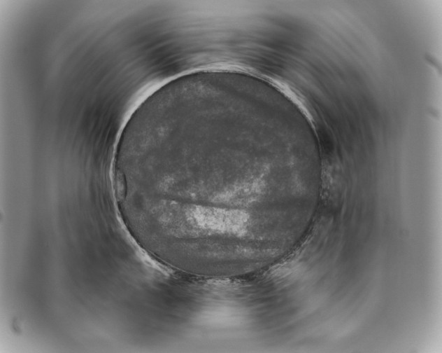 X0000094790959200712071225