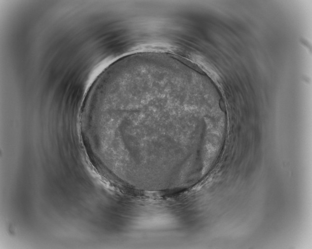 X0000094790960200712071225