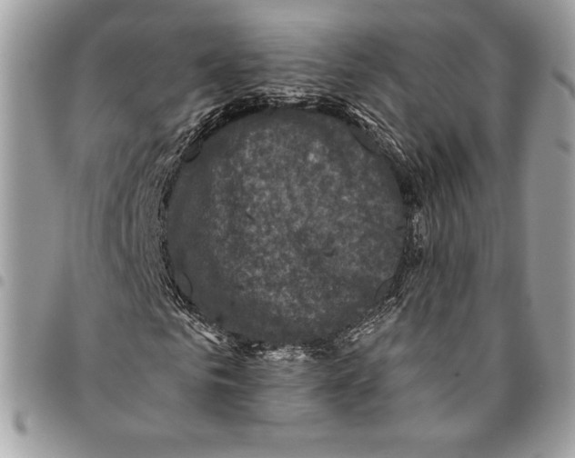 X0000094790961200712071225