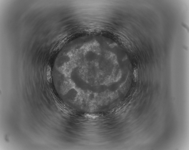 X0000094790963200712071224