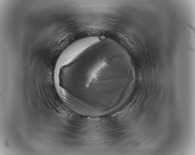 X0000094790964200712071224