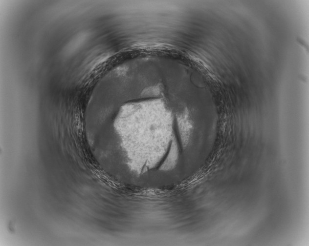 X0000094790966200712071224