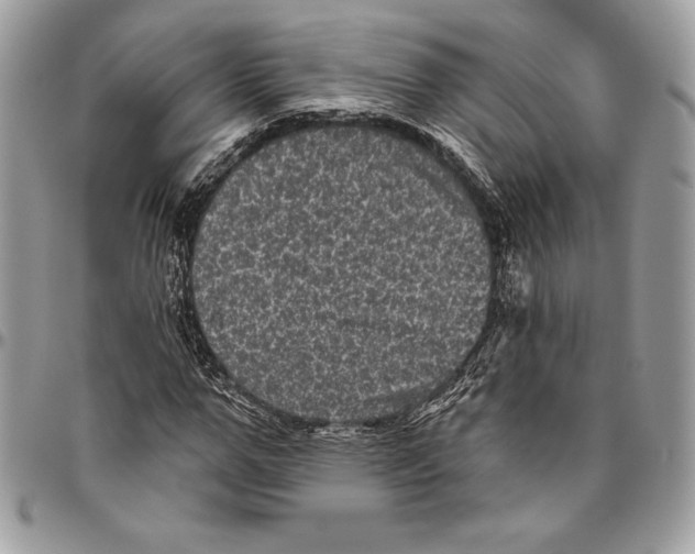 X0000094790967200712071224