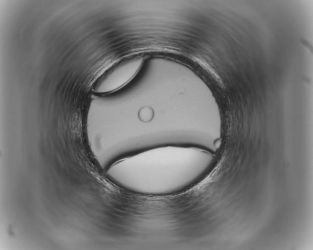 X0000094790969200712071224