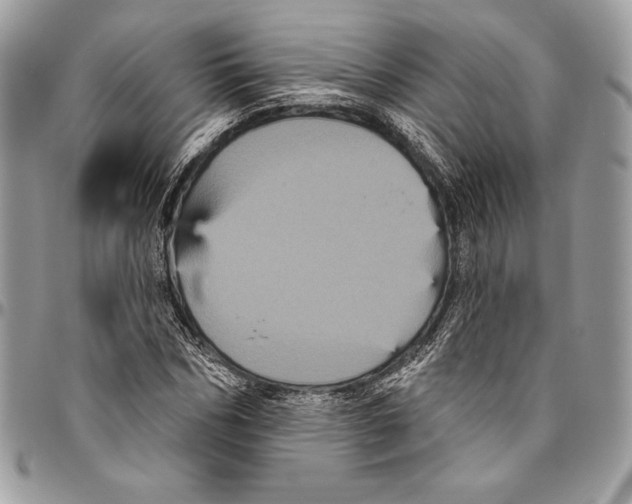 X0000094790970200712071224