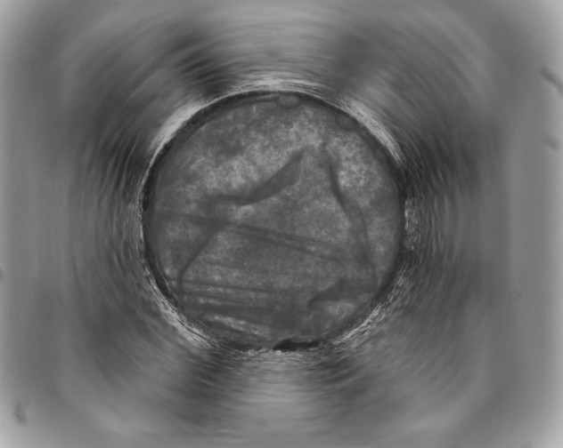 X0000094790972200712071224