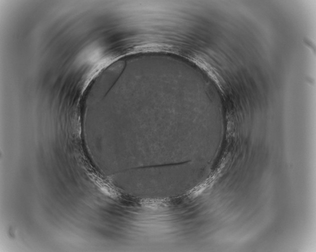 X0000094790973200712071224