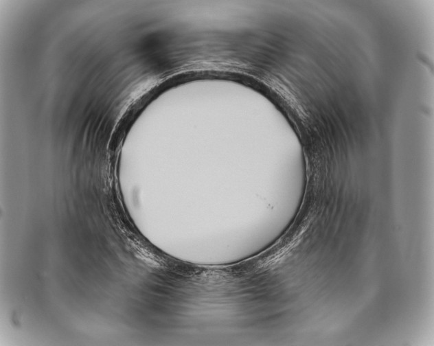 X0000094790974200712071224