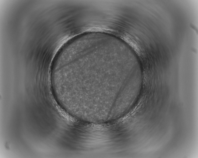 X0000094790976200712071224