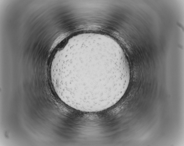 X0000094790978200712071224