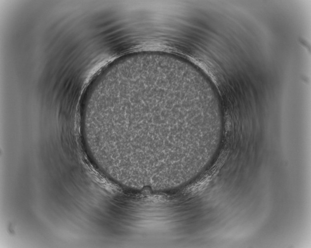 X0000094790979200712071224