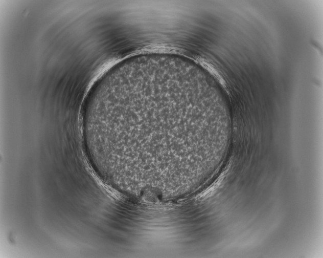 X0000094790981200712071224