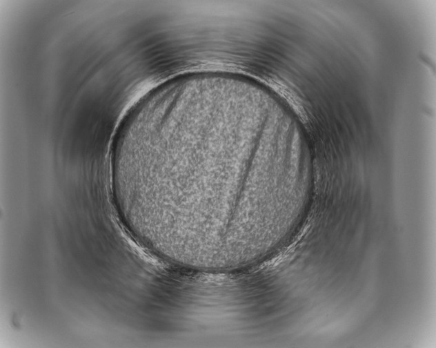 X0000094790982200712071224