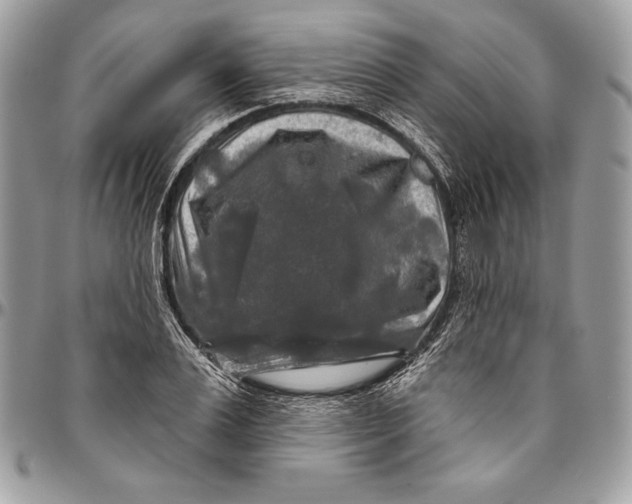 X0000094790983200712071224