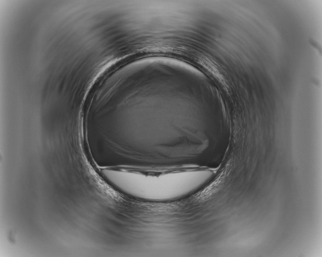 X0000094790984200712071224