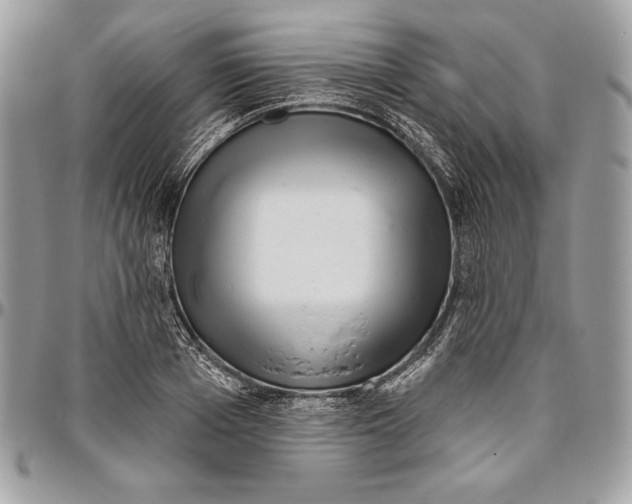 X0000094790985200712071224