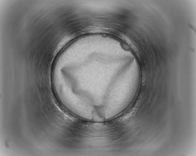 X0000094790986200712071224