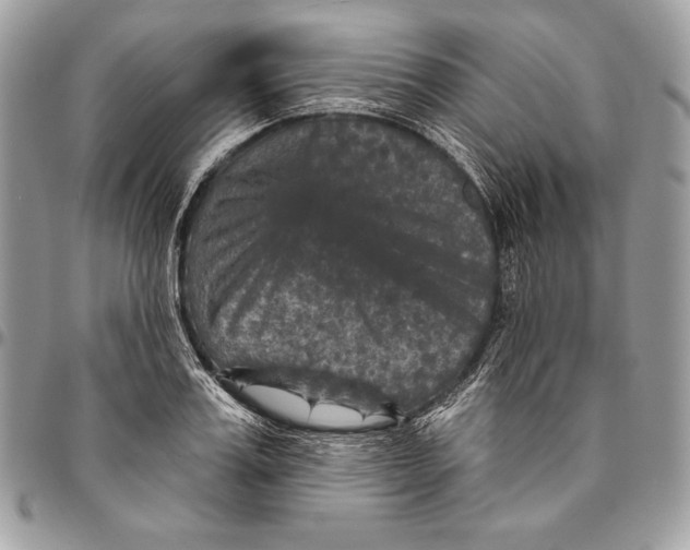 X0000094790987200712071224