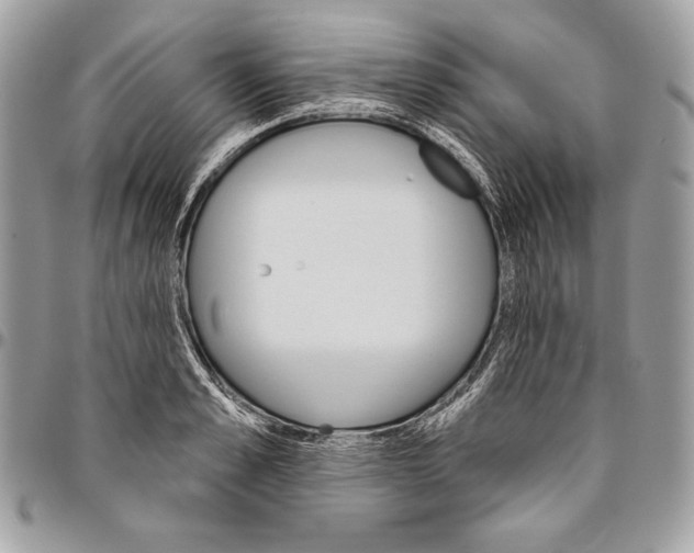 X0000094790989200712071224