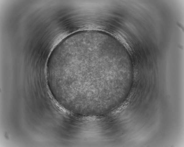 X0000094790990200712071224