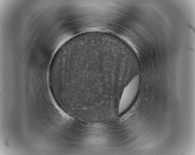 X0000094790991200712071224