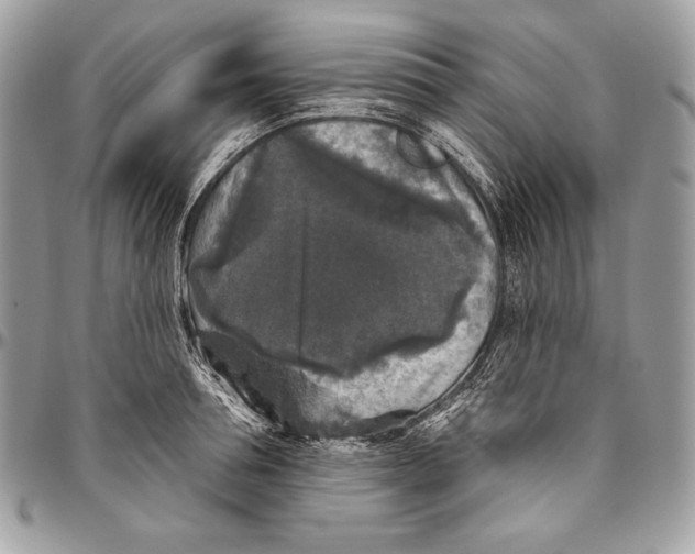 X0000094790994200712071224