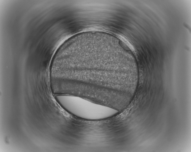 X0000094790996200712071224