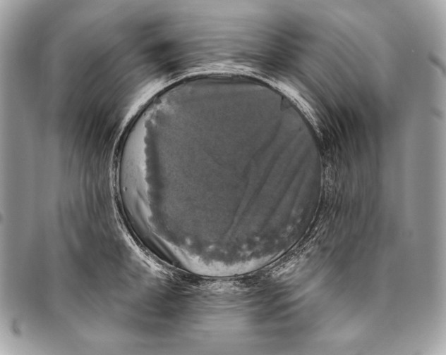 X0000094790998200712071224