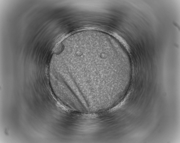 X0000094791001200712071224