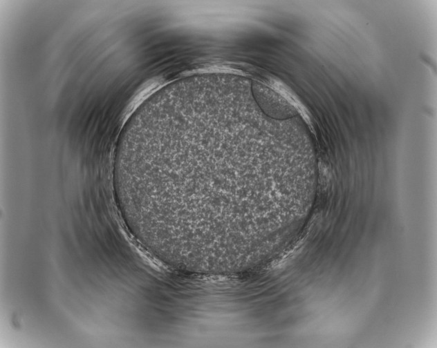 X0000094791002200712071224