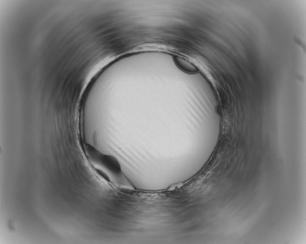 X0000094791003200712071224