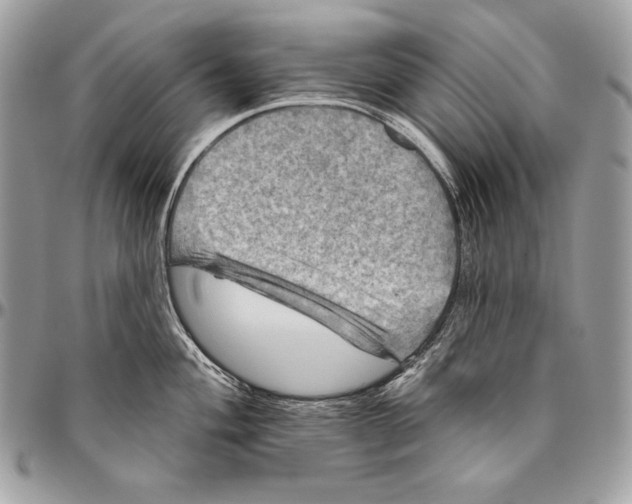 X0000094791004200712071224