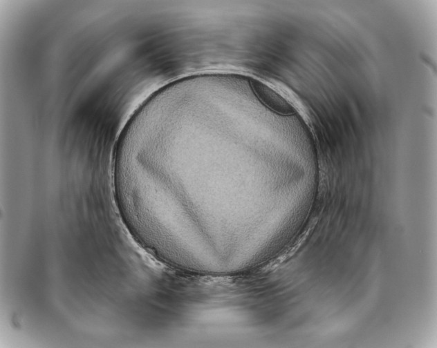 X0000094791006200712071224