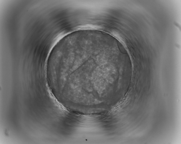 X0000094791008200712071224