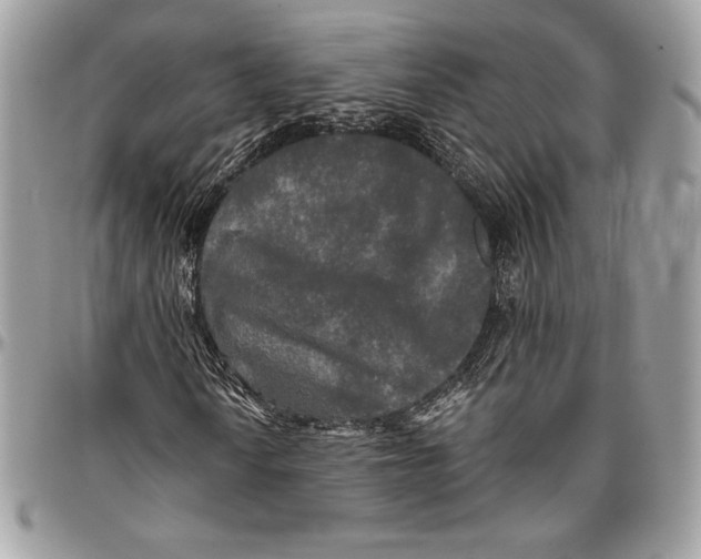 X0000094791010200712071223