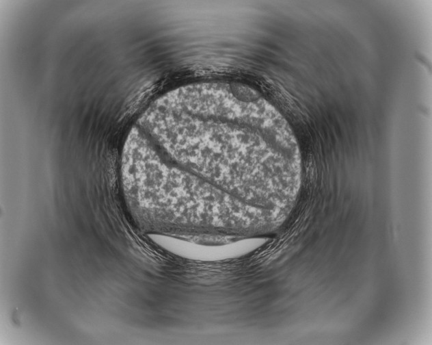 X0000094791012200712071223