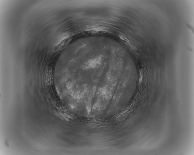 X0000094791014200712071223