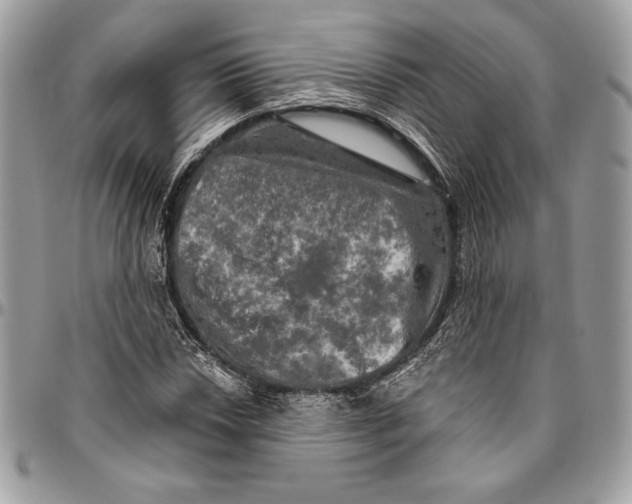 X0000094791018200712071223