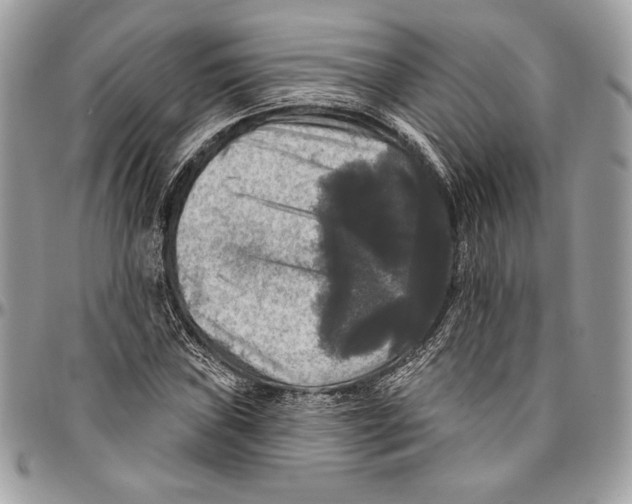 X0000094791019200712071223