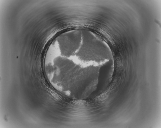 X0000094791023200712071223