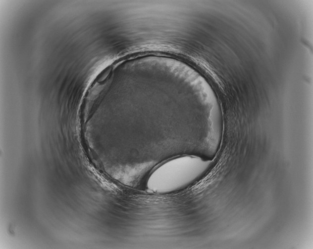 X0000094791024200712071223